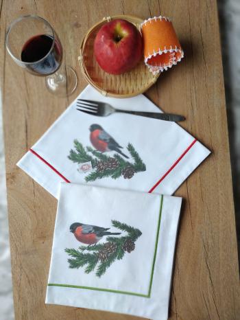 Napkins 40x40cm 26/08G